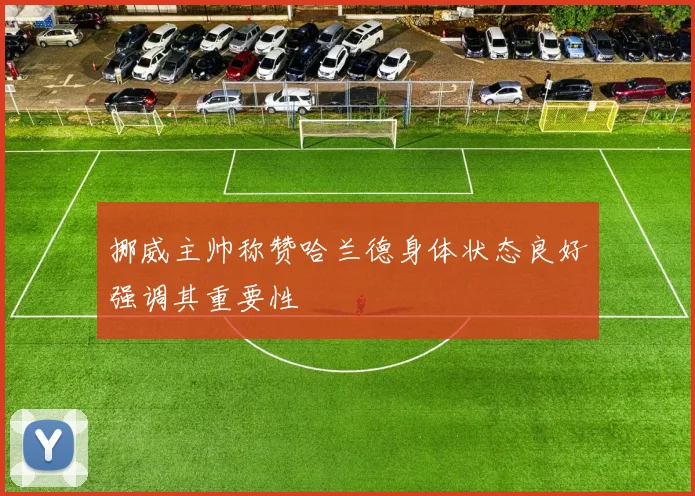 挪威主帅称赞哈兰德身体状态良好强调其重要性