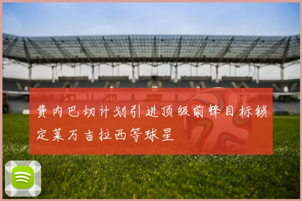 费内巴切计划引进顶级前锋目标锁定莱万吉拉西等球星